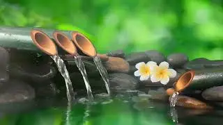 Relaxing Music 24/7, Stress Relief Music, Meditation, Spa, Sleep, Zen, Calming Music, Study, Yoga