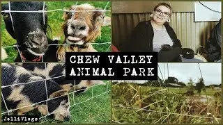 We Went To A PETTING ZOO!