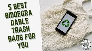 5 Best Biodegradable Trash Bags For You
