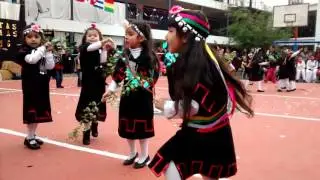 Baile mapuche