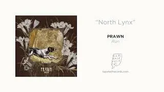 Prawn - 