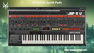 Vicious Antelope - Arturia Jup-8 V4 Synth Presets - Delicate Pads