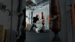 Liver shot #shortsvideo #training #shots #tutorial #shortvideo #india #russia #usa #indonesia #mma