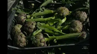 Vegan recipes,  Carciofi romaneschi alla giudia   Roman Jewish Style Artichokes @manortiz46az