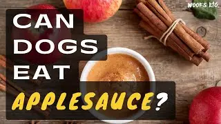 Can Dogs Eat Applesauce?