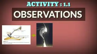 Activity 1.1 class 10th Science with animation