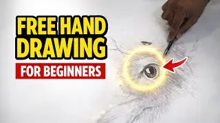 Free hand drow for beginners practice 😃