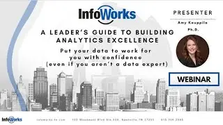 A Leader's Guide to Building Analytics Excellence