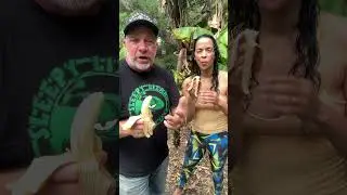 Gros Michele the original banana #farmlife #banana