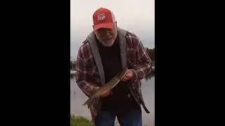Northern Pike Fishing Catch & Release!