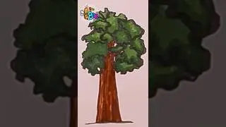 How to draw a Giant Sequoia tree #drawing #drawinganimals #drawingforkids #howtodraw