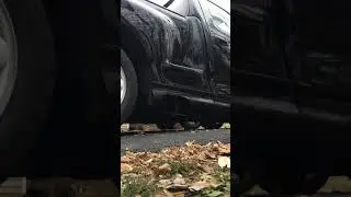 2003 Turbo Ford Lightning cold startup