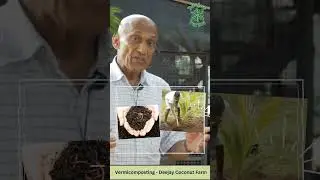 Vermicomposting - Deejay Coconut Farm - 1