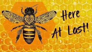 Introducing the Bee Sisterhood Oracle Deck! 💖🐝💖 Honey Bee Meaning & Sample Reading