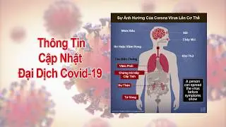 Covid-19 Dallas Forth Worth Texas Daily Update 5-19-2020