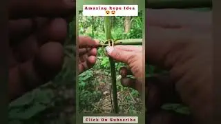 Best Rope Knot To Joint Pipe / Bamboo | #thegeniusworkers #shortsfeed #shortvideo #rope #knot
