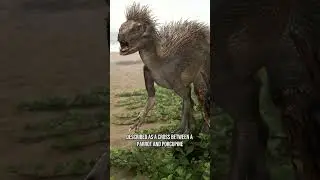 The Parrot-Porcupine Dinosaur with Self-Sharpening Teeth: Meet the Bizarre Pegomastax