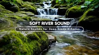 FALL INTO SLEEP INSTANTLY | Gentle River Flow, Soothing Water Sounds for Relaxation -  ASMR Nature