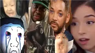 WiNGY Gucci Belt Meme Compilation
