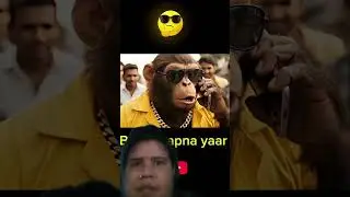 comedy monkey video new video 😍😍😂😂👍👍