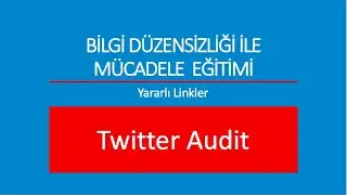 Twitter Audit Nasıl Kullanılır?