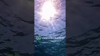 Freebreathe, the future of snorkeling technology #underwatertechnology #underwater #freebreathe