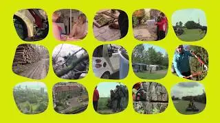 Groene leefomgeving