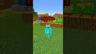 Hidden Feature of Zombie Villagers?! ⛏💎