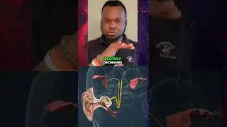 Хватит трескать уши и хлопать! #шорты