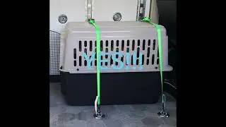 Safe Pet Transport