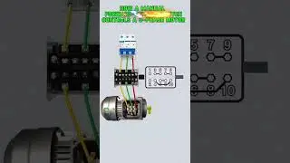 How Manual Switch Can Reverse a 3-Phase Motor | every electrician Must-Know 🔄⚡