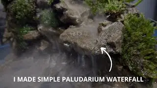 I MADE SIMPLE PALUDARIUM WATERFALL