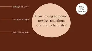 How loving someone rewires and alters our brain chemistry | Sitting With Love and Our Brain