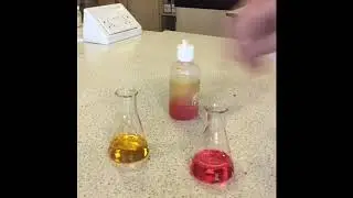 Exp 2 Determining the purity of marble by back titration