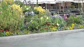 MOV00184