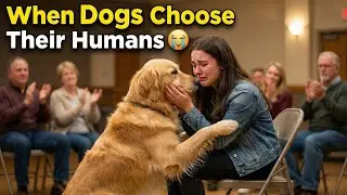 When a Dog Chooses Their Human | I Was Not Expecting This Tears 😭❤️
