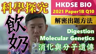 破解SBA│DSE Bio│HKDSE 2021 1B Q10│breast milk 母乳│in vitro digestion 體外消化│Faith Education {雙語Bilingual}