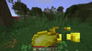 Raspberry Flavoured speedrun | Coleslaw%, 5:37