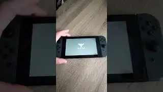 Как включить Nintendo switch с чипом Picofly без Sd карты
