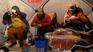 Ловим САМУЮ ВКУСНУЮ рыбу в штате Мэн!!