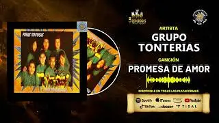 GRUPO TONTERIAS (ALBUM: PURAS TONTERIAS) DISCO COMPLETO