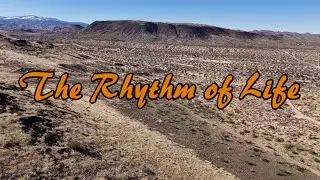 The Rhythm of Life