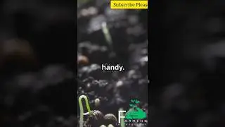 Farm To Plate | The Journey Of Your Food