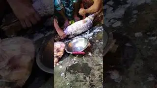 amazing coral fish cutting skills in Bangladesh #shortsfeed #shorts #youtubeshorts
