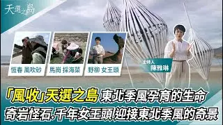 「風收」 東北季風孕育的生命｜狂沙飛舞 落山風的故鄉「恆春」｜奇岩怪石.千年女王頭 迎接東北季風的奇景｜天選之島｜華視新聞 20230430
