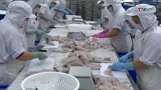 Xuất khẩu c&aacute; tra vượt mốc 2 tỷ USD| NSTH