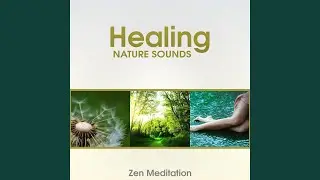 Zen Energy Therapy: Rain