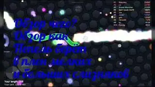 Обзор игры slither.io или как Пепель берёт в плен .