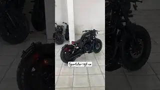 SPORTSTER SINGLE SEAT 😎