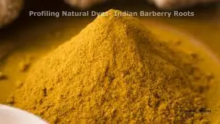 Indian Barberry Roots